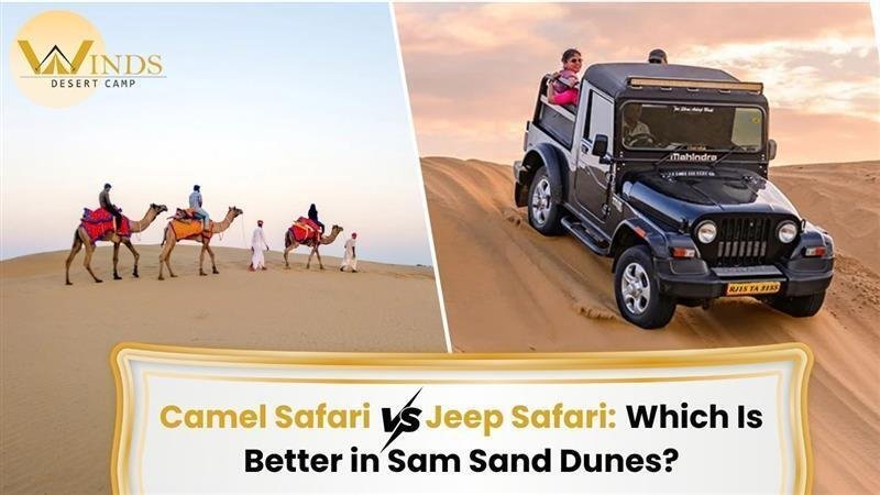 Jeep safari dune bashing at Sam Sand Dunes — RUDVO Jaisalmer